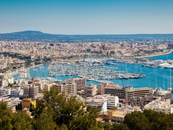 Der Hafen von Palma de Mallorca